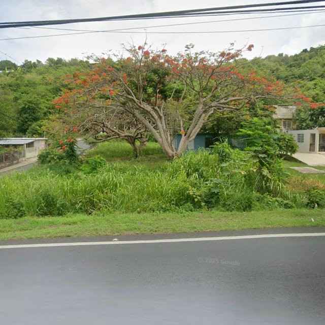 nuisance property at XXQC+WF Arroyo, Puerto Rico 00714