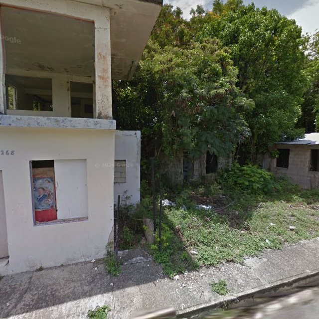 estorbo en 88HX+W3 Fajardo, Puerto Rico 00738