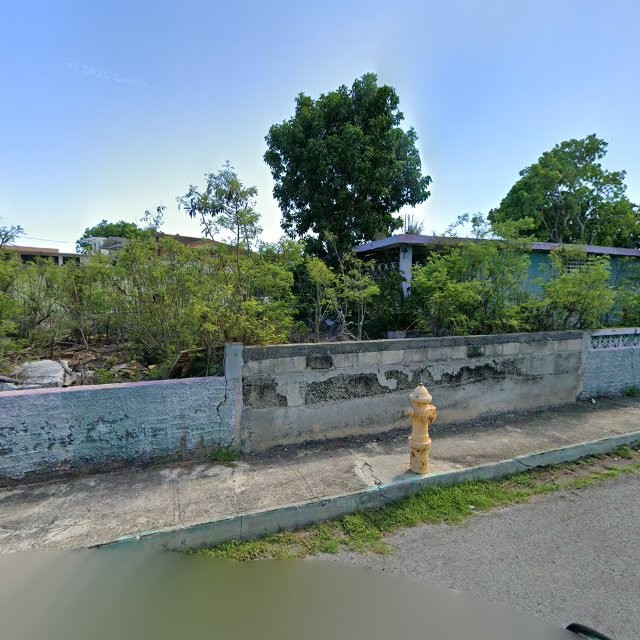 Propiedad declarada estorbo público en Casa verde Calle AJ Grief esq. Calle José Nazario, Guánica, Puerto Rico, Guánica