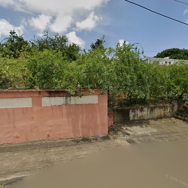 Propiedad declarada estorbo público en XVQQ+V3 Guayama, Puerto Rico 00784, Guayama