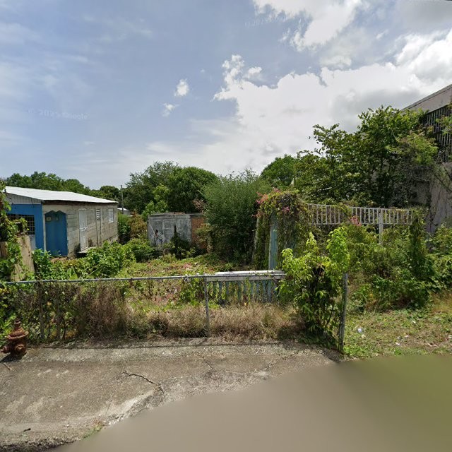 nuisance property at XVGQ+MP Guayama, Puerto Rico 00922