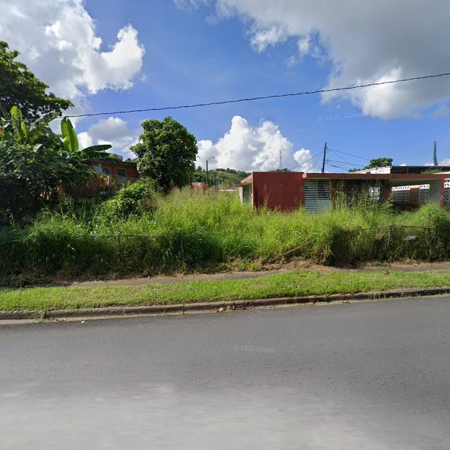 Propiedad declarada estorbo público en UrB. Villa Ana B-5, Juncos, Puerto Rico, Juncos