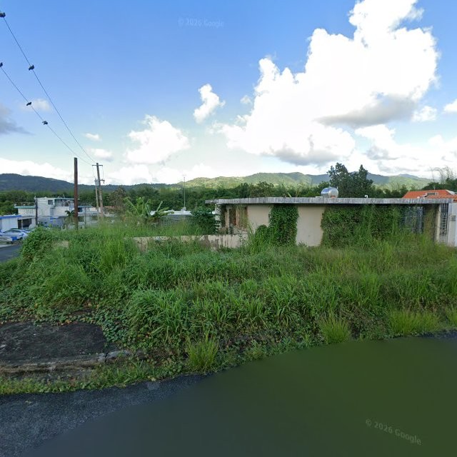 Propiedad declarada estorbo público en ColóN UrB. Villa GraCieLa D-1, Juncos, Puerto Rico, Juncos