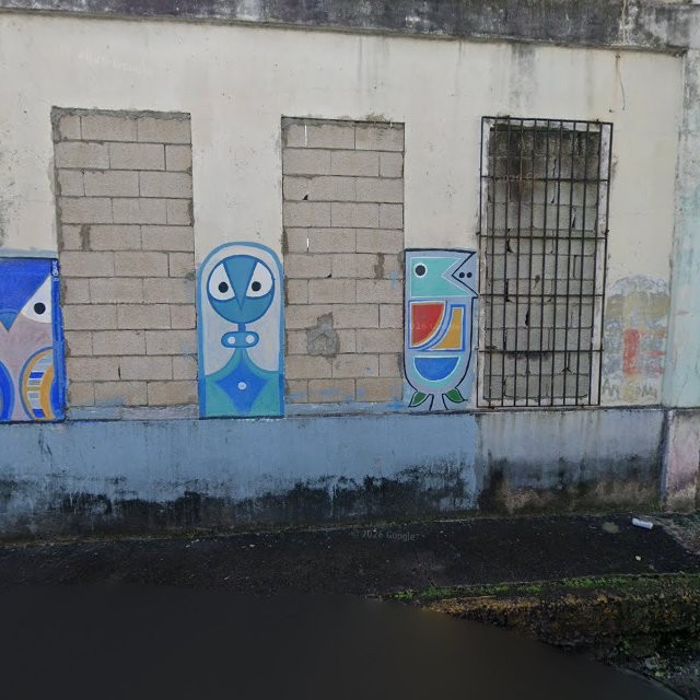 Propiedad declarada estorbo público en Solar 41, ubicado en la Calle José Julián Acosta, de, Juncos, Puerto Rico, Juncos