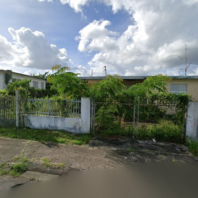 Propiedad declarada estorbo público en Com. Villa Albizu # 25, Juncos, Puerto Rico, Juncos