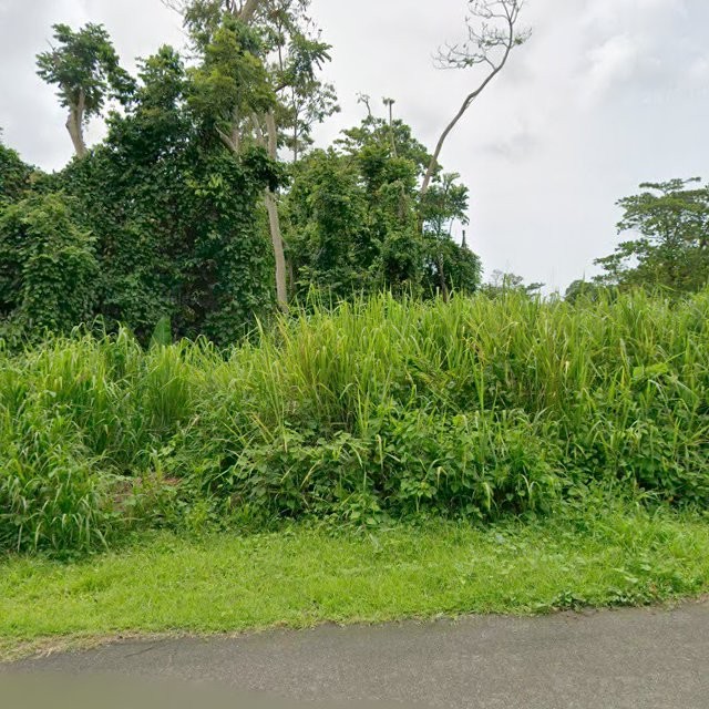 nuisance property at 9759+HM Luquillo, Puerto Rico 00976