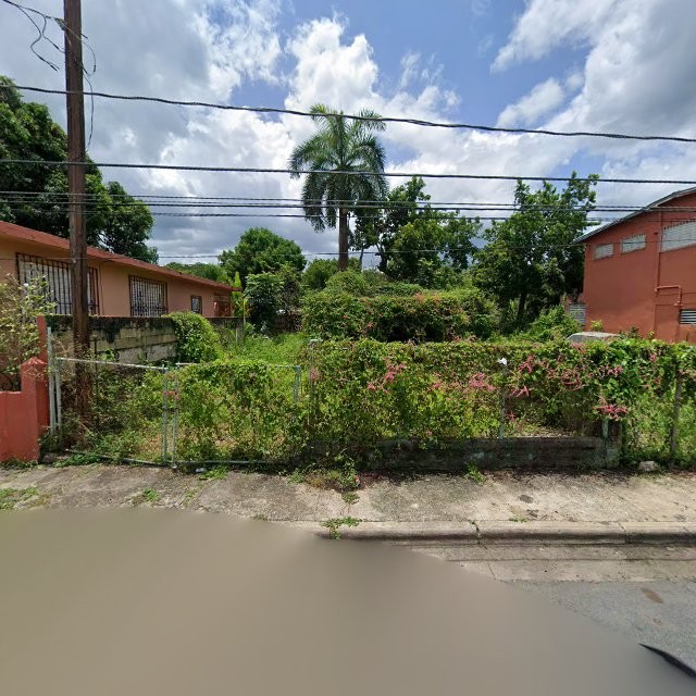 Propiedad declarada estorbo público en Ruinas verdes Calle Belisari del Valle, Mayagüez, Puerto Rico, Mayagüez