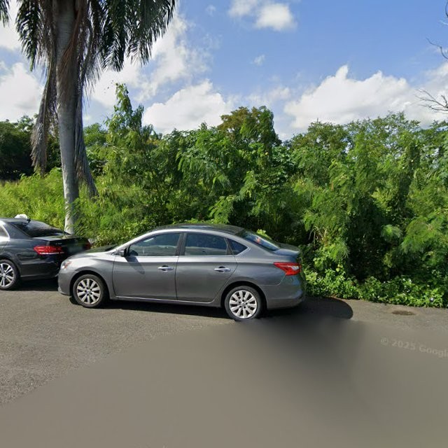 nuisance property at 9XXW+F2 San Juan, Puerto Rico 00929