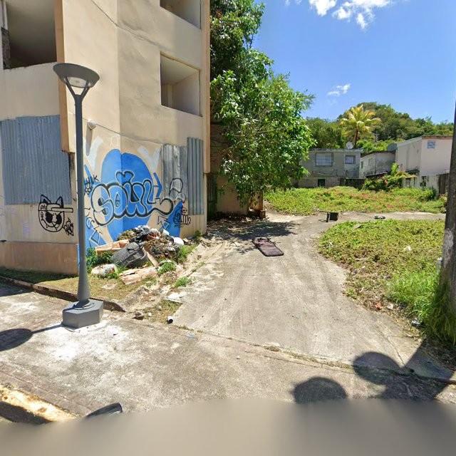 estorbo en CJV8+24 Vega Baja, Puerto Rico 00681
